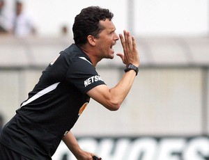 Claudinei Oliveira, treinador do Santos Sub-20 (Foto: Divulgação/Santos FC)