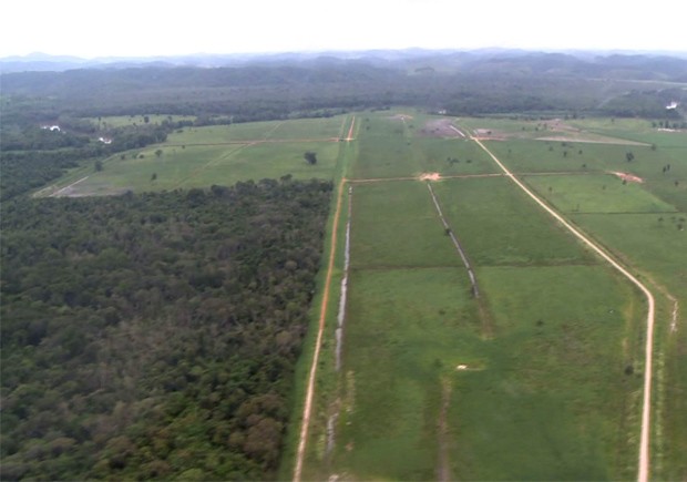 Sobrevôo de helicóptero constatou desmatamento no Vale do Ribeira, SP (Foto: Reprodução/TV Tribuna)