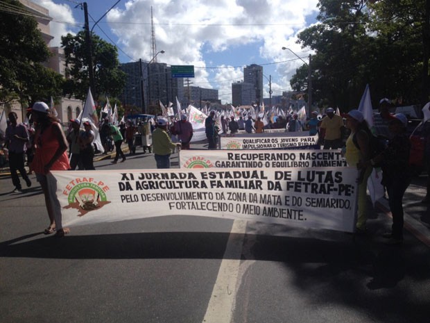 Fetraf diz que quase 2.500 trabalhadores participaram da marcha (Foto: Kety Marinho/ TV Globo)