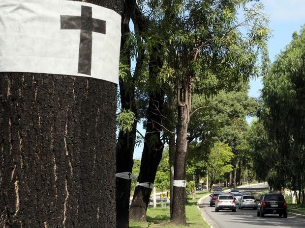 Cruzes pedem que árvores não sejam retiradas na avenida Beira Rio (Foto: Francisco França/G1)