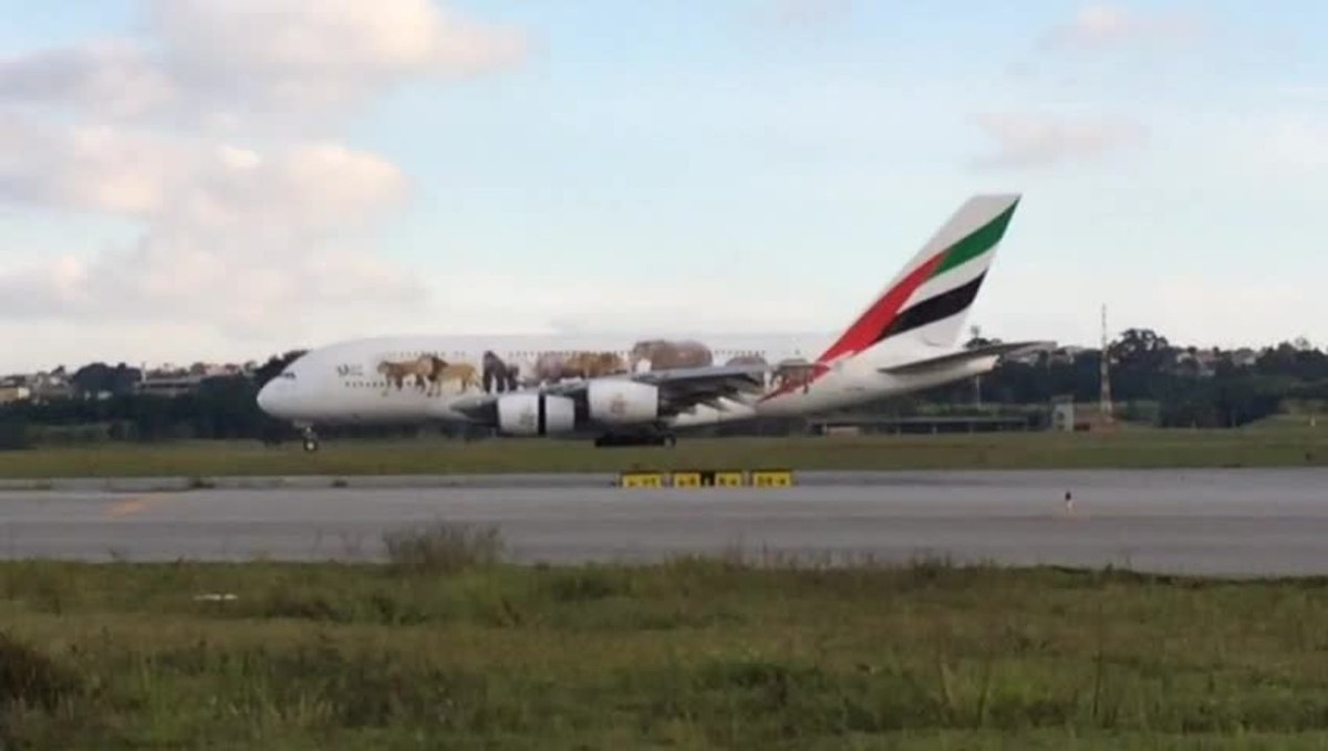 A380, maior avião comercial do mundo, aterrissa em Guarulhos e ... - Globo.com