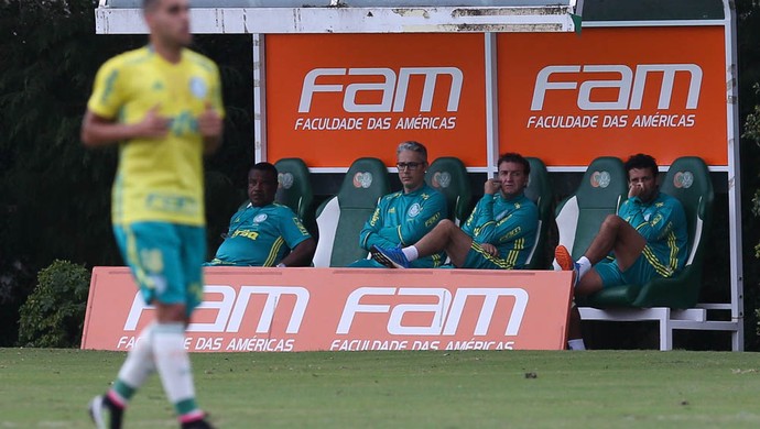 Cuca Palmeiras (Foto: Cesar Greco / Ag. Palmeiras / Divulgação)