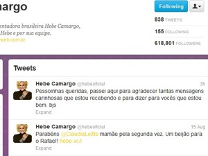 Perfil de Hebe Camargo no Twitter  (Foto: Reprodução/ G1)