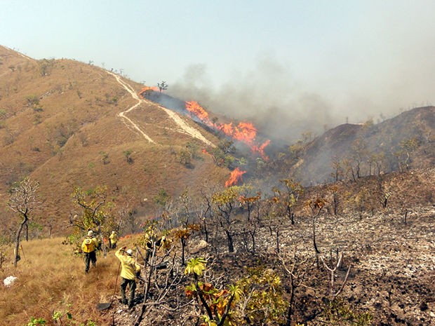 Incêndio fica em área próximo ao parque (Foto: Robson Luiz / Prefeitura de Chapada dos Guimarães)