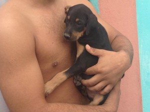 Com o caõzinho entre os braços, o dono garante que o animal é bem tratado (Foto: Valéria Oliveira/G1)