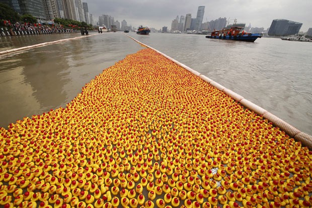 Patos de borracha são lançados em rio em Xangai neste sábado (5) (Foto: AP)