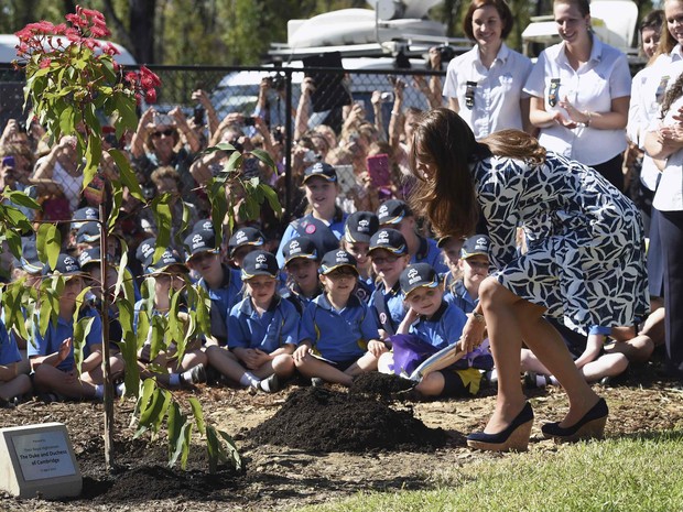 Kate Middleton planta árvore Sydney, na Austrália (Foto: William West/ Reuters)