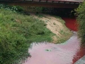 Rio Cachoeira teve a água manchada de vermelho (Foto: Ednilson Rafael/Vanguarda Repórter)