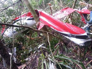 Helicóptero que caiu em Bertioga é do modelo esquilo (Foto: Divulgação / Polícia Militar)