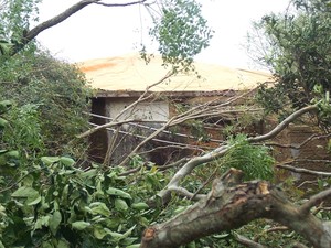 Árvores foram derrubadas pelo tornado em São Gabriel (Foto: Glenio de Bairros/arquivo pessoal)