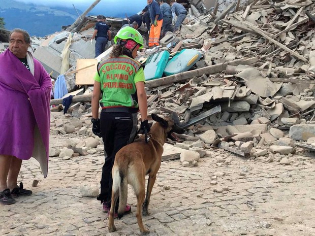 Equipe de resgate usa cão para procurar sobreviventes sob escombros em Amatrice (Foto: Emiliano Grillotti / Reuters)