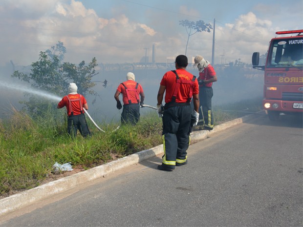 Incêndio atingiu vegetação em Santa Rita (Foto: Walter Paparazzo/G1)