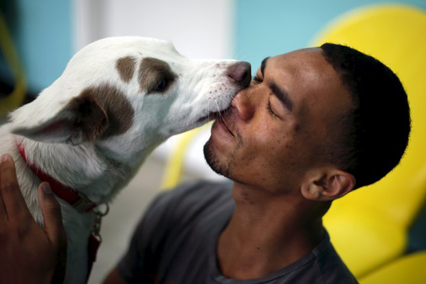 Los Angeles ganha &#39;café canino&#39; para incentivar adoções (Foto: REUTERS/Lucy Nicholson)