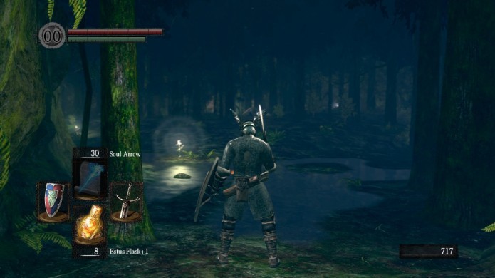 Darkroot Garden (Foto: Reprodução/Lost to the Aether)