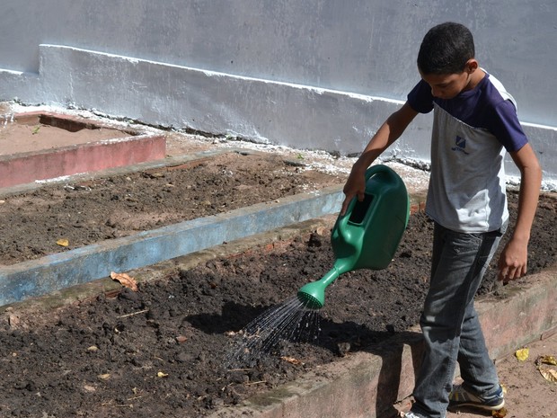 Aluno ajuda a cuidar de um dos canteiros criados na Escola Municipal Palmira de Souza, na Zona Norte, uma das primeiras inseridas no projeto (Foto: Adrovando Claro)