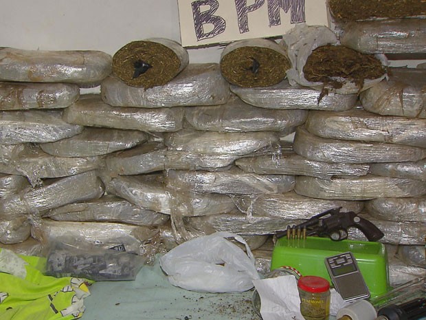 PM-PE apreende 57 kg de maconha e destrói estufa para cultivo da erva (Foto: Reprodução / TV Globo)