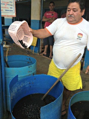 Vendedor diz que mudou a forma de preparar a polpa depois de instruções da Vigilância Sanitária (Foto: Larissa Matarésio/G1)