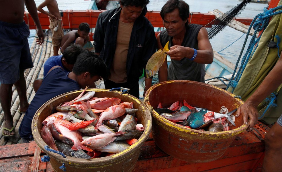 Especialistas recomendam que consumidores fiquem atentos à quantidade de mercúrio em frutos do mar e peixes  (Foto: Erik De Castro/Reuters)