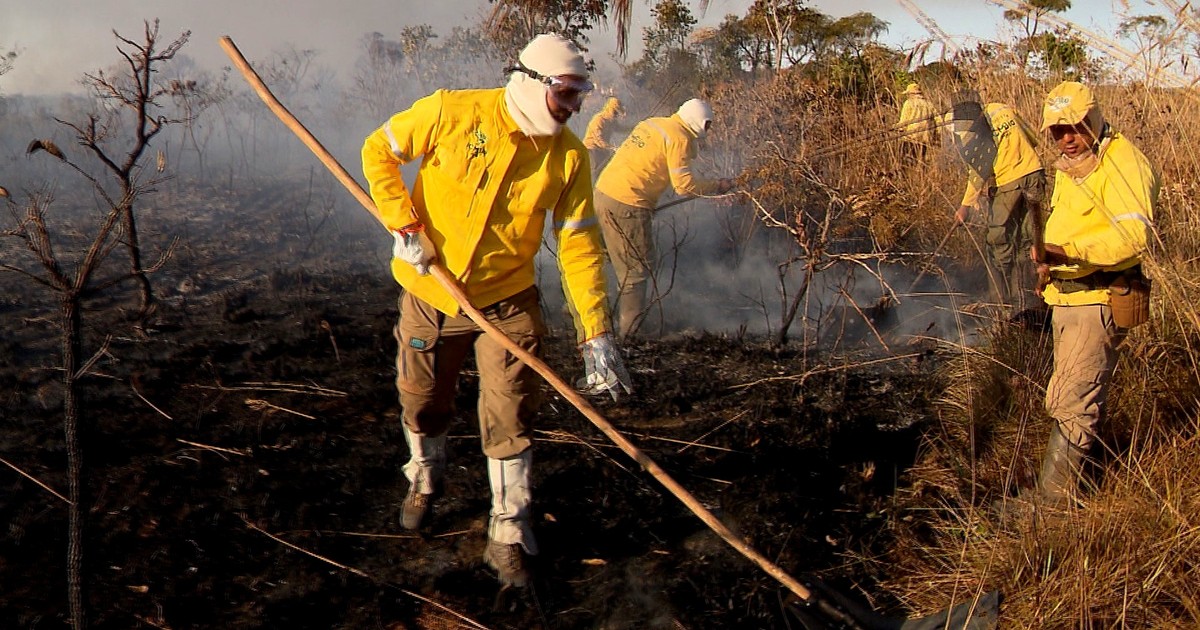 G1 Reportagem Mostra A Importância Do Fogo Para Preservação Do Cerrado Notícias Em Terra Da 3093