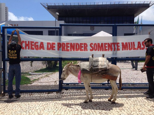 Agentes da PF usaram uma mula em protesto na manhã desta terça em Natal (Foto: Cedida/Sinpef-RN)