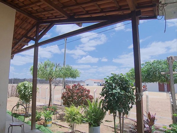 Na Vila Junco, em Cabrobó, a agricultora Luíza Isabel dos Santos até se deu o direito de fazer um jardim. “A água aqui é imensa", ela diz (Foto: Reprodução/TV Globo)