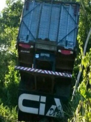 Caminhão transportava bois que morreram no acidente (Foto: Jackson Cristiano / arquivo pessoal)