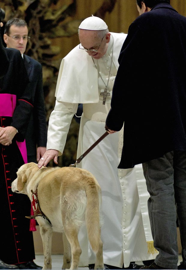 Papa Francisco 'abençoou' o cão-guia de um convidado durante encontro com a mídia na manhã deste sábado (16), no Vaticano (Foto: Domenico Stinellis/AP)
