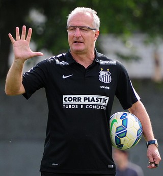 Dorival Júnior, técnico do Santos (Foto: Ivan Storti/Santos FC)