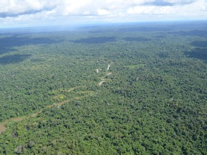 A Terra Indígena Yanomami foi homologada por um decreto presidencial em 25 de maio de 1992 (Foto: Vanessa Lima/G1 RR)