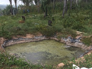 Quadrilha contava com sistema de irrigação especializado (Foto: Divulgação/Polícia Civil)
