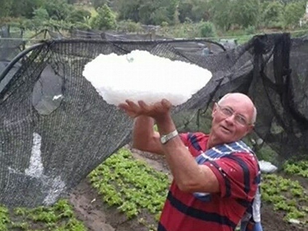Morador de Mirandópolis mostra o granizo que atingiu horta (Foto: Juliana Sartori/TEM Você)