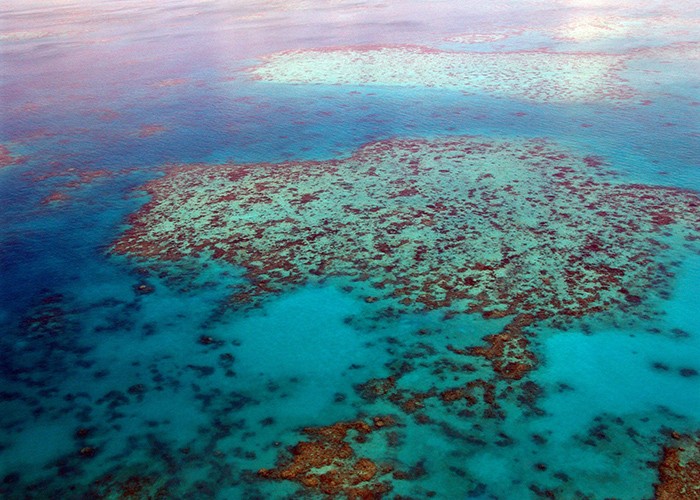 A Grande Barreira de Coral, na Austrália, pode ter novos corais  (Foto: Pixabay)