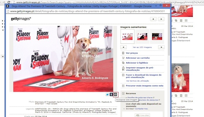 Ferramenta facilita compartilhamento de imagens em redes sociais e serviços de blogs (Reprodução/Getty Images)