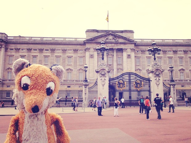 Mr. Fox em frente ao Palácio de Buckingham, em Londres (Foto: Jessica Johnson/Arquivo pessoal)