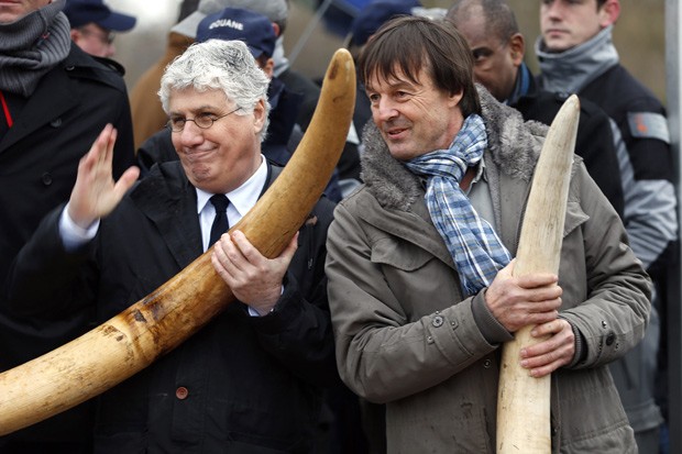 Ministro francês da Ecologia, Desenvolvimento Sustentável e Energia, Philippe Martin (esq.) e ativista ambiental Nicolas Hulot posam com presas de marfim (Fot Reuters/Charles Platiau)