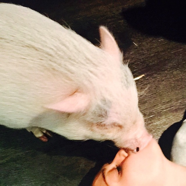 Miley Cyrus (Foto: Reprodução/Instagram)