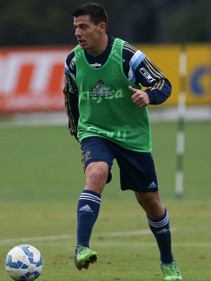 Ayrton Palmeiras (Foto: Cesar Greco/Ag Palmeiras/Divulgação)