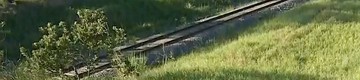 Homem de 41 anos morre atropelado por trem em Pinda (Reprodução/TV Vanguarda)