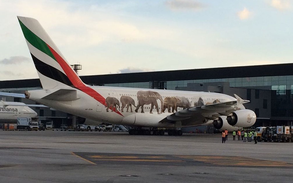 Avião A380 chega a Guarulhos para iniciar rota com Dubai (Foto: Vivian Reis/G1)