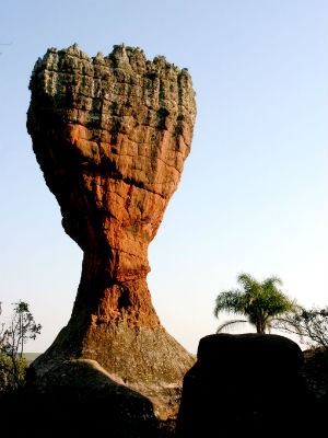 A Taça de Via Velha é um dos símbolos do Paraná (Foto: Divulgação/ Prefeitura de Ponta Grossa)
