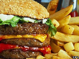Fast-food contém gordura trans, que afeta o sistema imune (Foto: SPL)