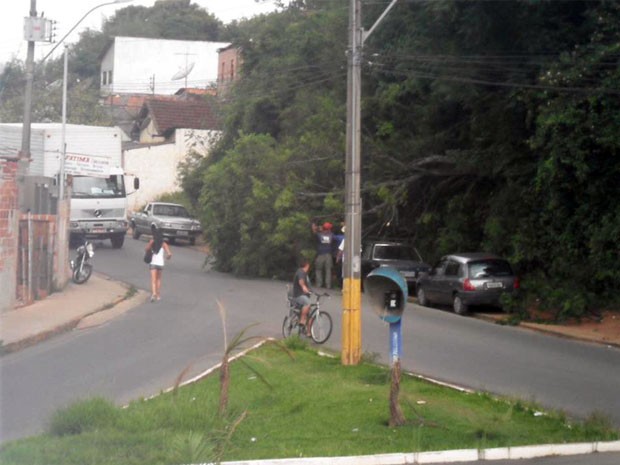 Chuva derruba árvore em bairro de Itajubá. (Foto: Luciano Lopes - TV F5.com)