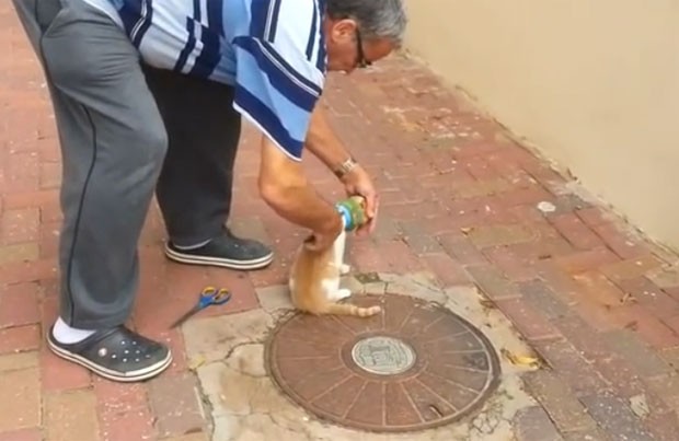 Homem precisou cortar recipiente para conseguir resgatar o felino (Foto: Reprodução/YouTube/ViralHog)