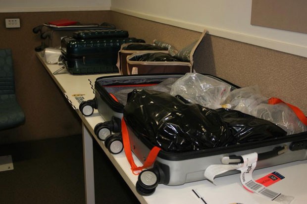 Peixes estavam em 20 sacos plásticos escondidos na bagagem do passageiro (Foto: Australian Customs and Border Protection Service)
