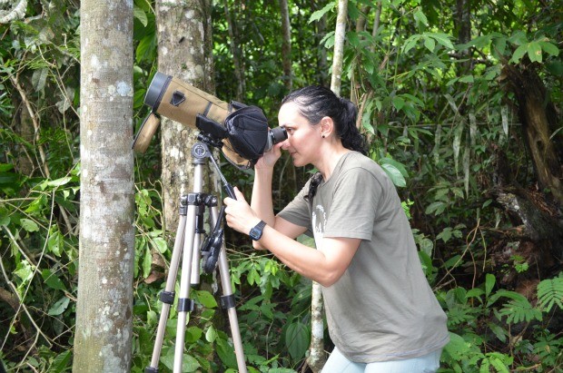 Bióloga Helena Aguiar acompanha ninho de Gavião-real, em Cacoal (Foto: Magda Oliveira/G1)
