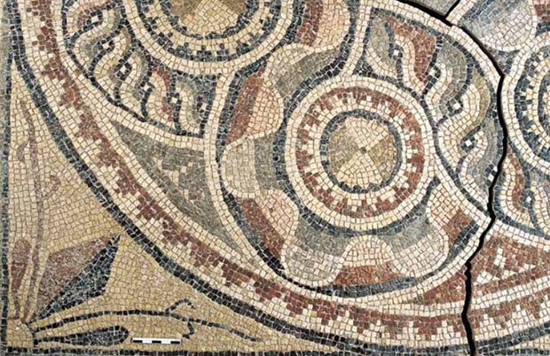 Mosaicos de Zeugma (Foto: Zeugma Archaeology Project/Divul)