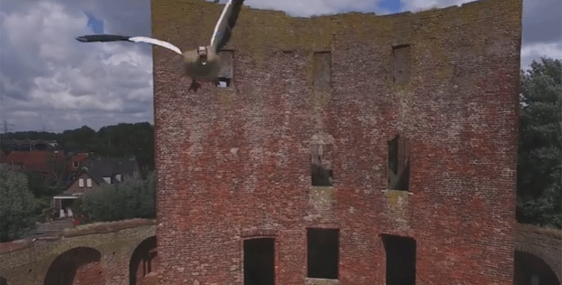 Ganso derruba drone (Foto: Reprodução/YouTube)
