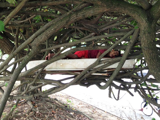 Homem dormia profundamente entre os galhos da árvore na Lagoa Rodrigo de Freitas na manhã desta quinta-feira (Foto: Fabiano Ristow/TV Globo)