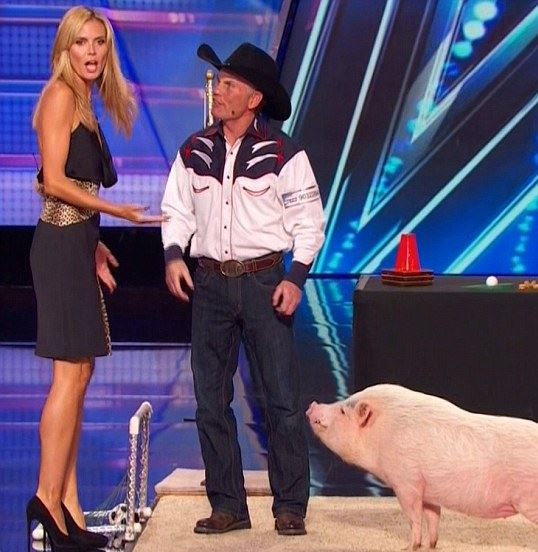 Heidi Klum e porco (Foto:  credito NBC/ Reprodução)