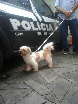 Cadelinha foi resgatada seis meses após ser roubada em Porto Alegre (RS) (Foto: Arquivo pessoal)